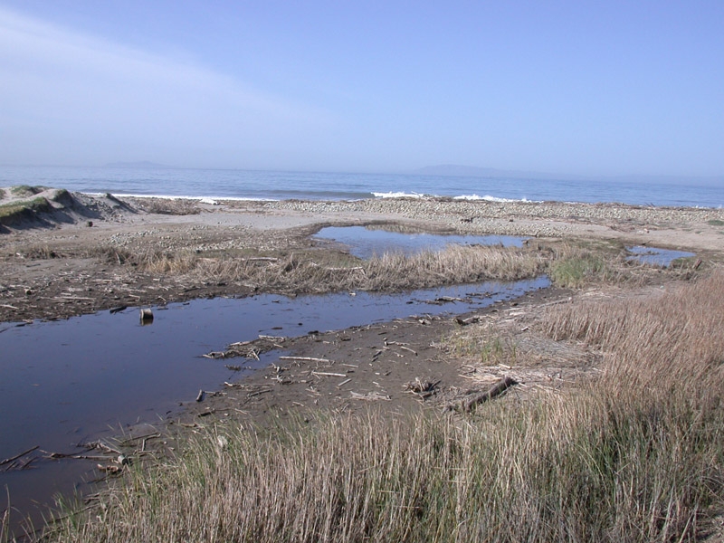 Santa Clara River Estuary